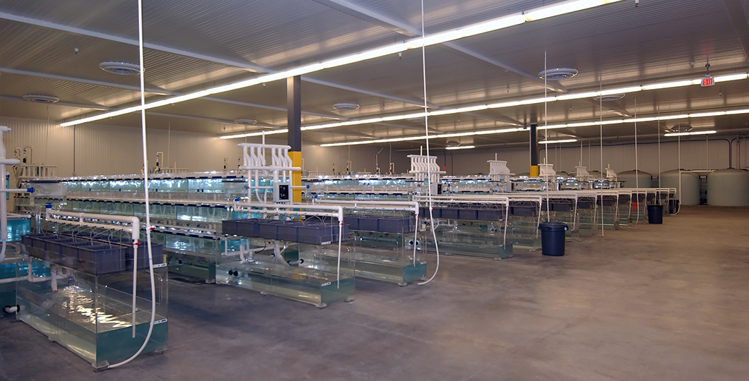 PetSmart Fish Distribution Facility - United Construction